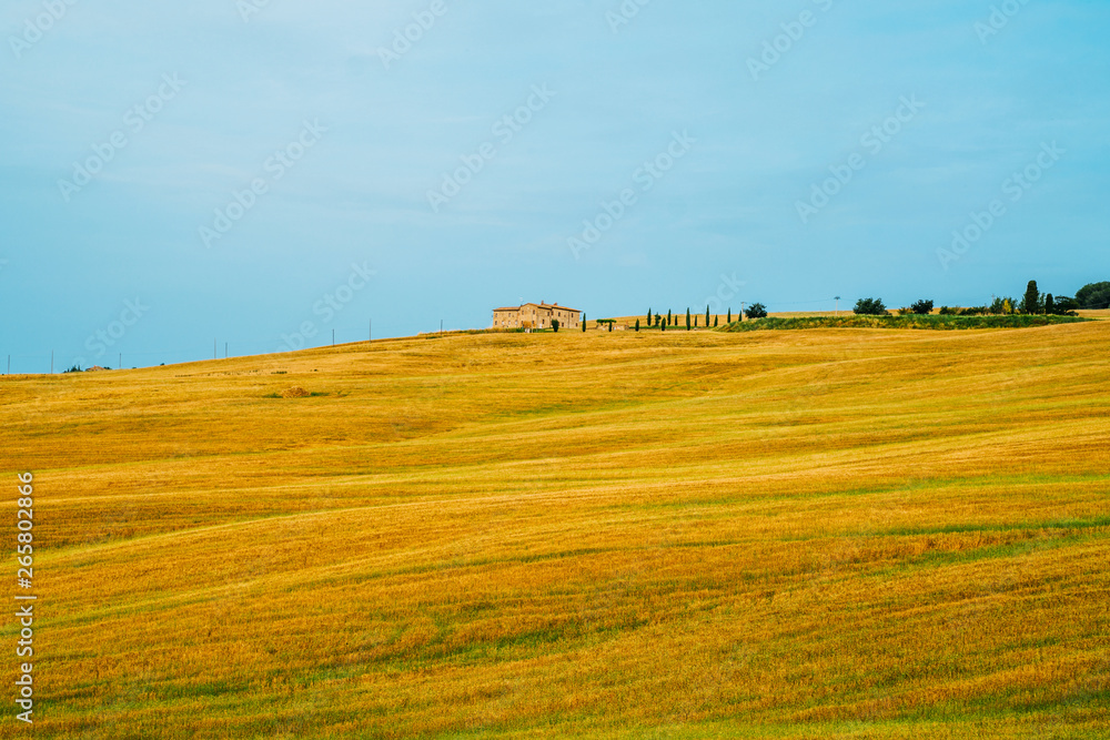 Unique tuscany landscape in summer time - wave hills, cypresses trees and beautiful colors of sky. Tourism, travel in Italy. Beautiful destination Europe. Summer holiday outdoor vacation trip.