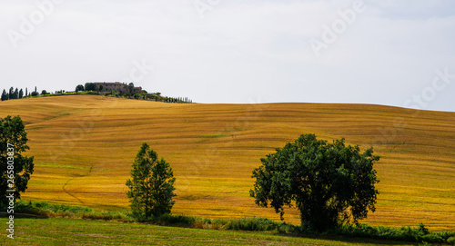 Traditional countryside and landscapes of beautiful Tuscany. Fields in golden colors and cypresses. Italy  Europe. Holiday  traveling concept. Agro tour of Europe.