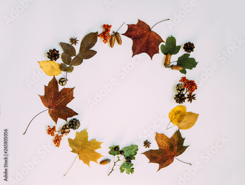 Wreath made of pumpkin, autumn berries, dried leaves, acorn, pine cones, anise staron pastel background. Autumn concept. Flat lay, top view, copy space. Toned image. Vintage style. Autumn background. photo