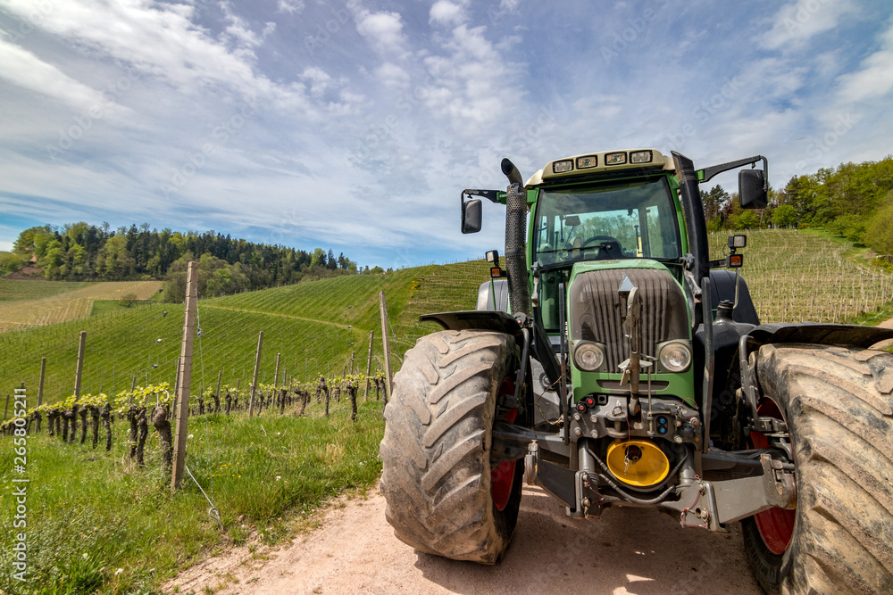 Obraz premium Weinbau mit Traktor