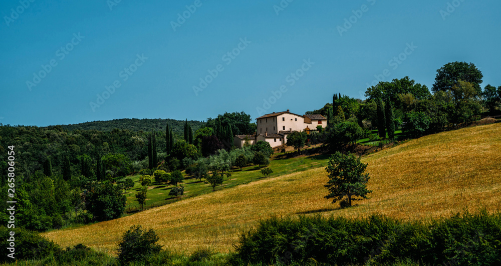 Tuscany, Italy. Rural landscape. Countryside farm, cypresses trees, green and gold field and cloudly sky. Agro tour of Europe.