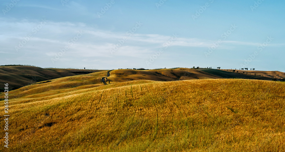 Beautiful and miraculous colors of green and golden autumn landscape of Tuscany, Italy. Golden wheat fields, green meadows and hills. Harvest season.Holiday, traveling concept.