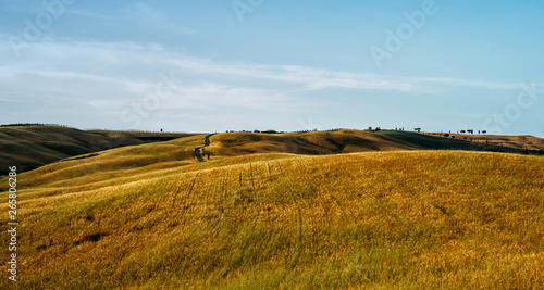 Beautiful and miraculous colors of green and golden autumn landscape of Tuscany, Italy. Golden wheat fields, green meadows and hills. Harvest season.Holiday, traveling concept.