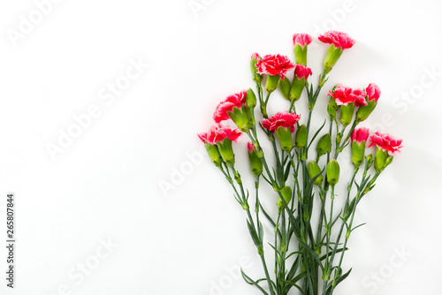 Pink lovely flowers on white background. Festive greeting card © makistock