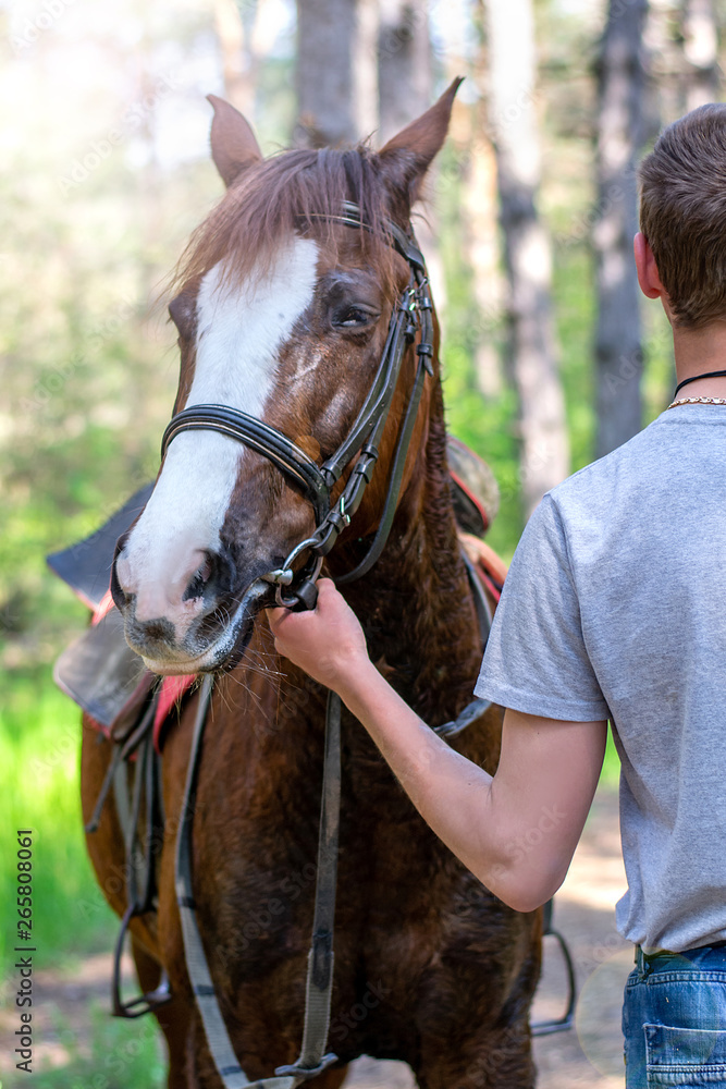Fototapeta premium guy with a horse in nature