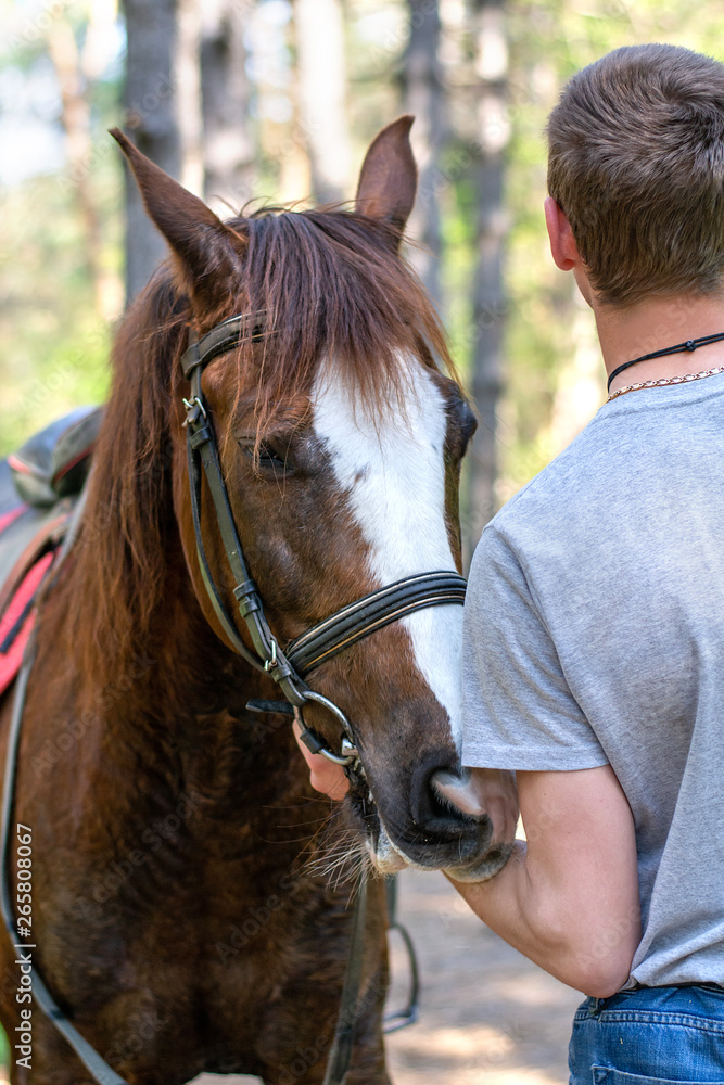 Fototapeta premium guy with a horse in nature