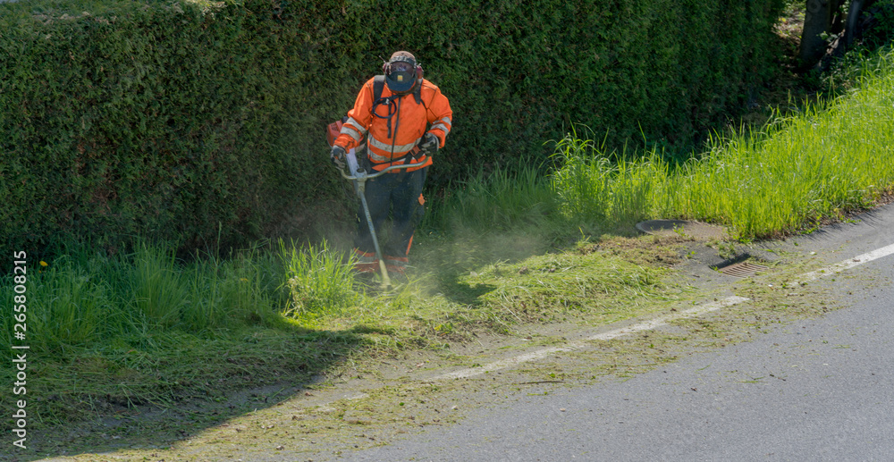 city maintenance worker cutting weed on the road shoulder with a strimmer - obrazy, fototapety, plakaty 
