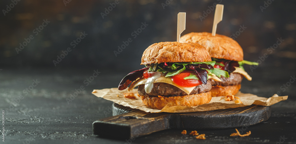 Two homemade burger - obrazy, fototapety, plakaty 