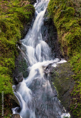 Little idyllic forest stream flowing in long exposure shot with green moos at sunny spring day in Finland © Jani Riekkinen