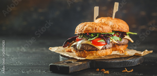 Two homemade burger photo