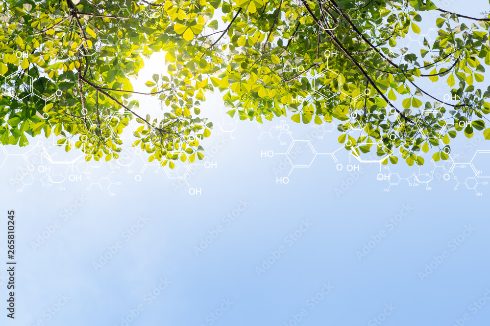 Plants background with biochemistry structure. Plants background with biochemistry structure.