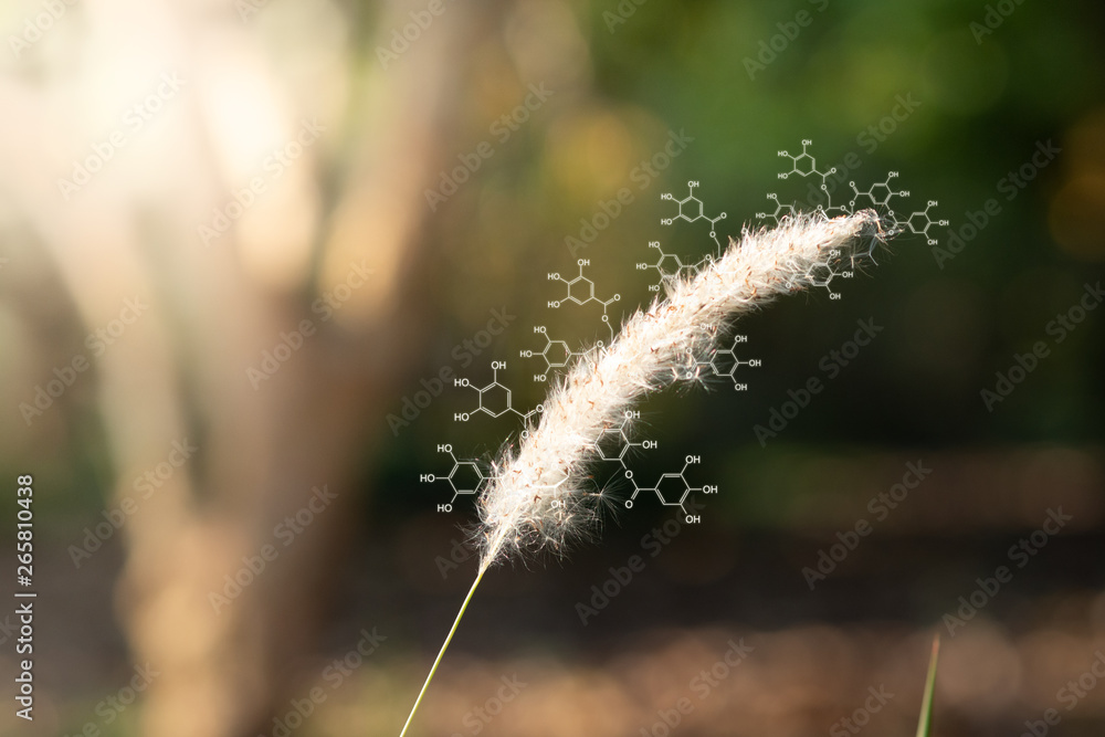 Naklejka premium Plants background with biochemistry structure.