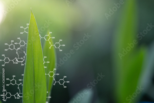Plants background with biochemistry structure.