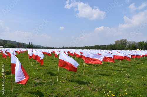 Obraz na płótnie Flaga Polski święto flagi Błonia Krakowskie w salonie