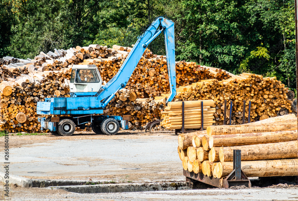 Obraz premium deforestation