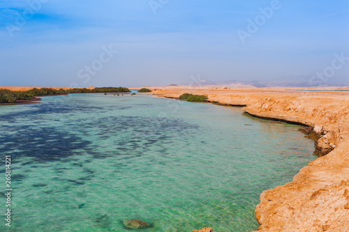 Sea coast and mangroves in the Ras Mohammed National Park. Famous travel destionation in desert. Sharm el Sheikh, Sinai Peninsula, Egypt.