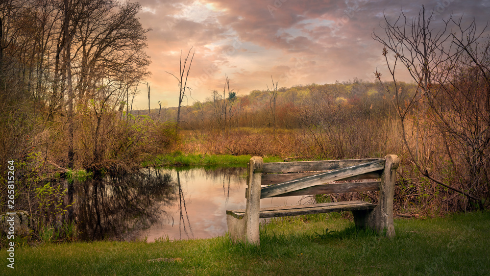 Golden hour image of an old park bench in front of a marshy swamp on an early spring day