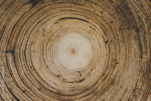 wooden texture of wood