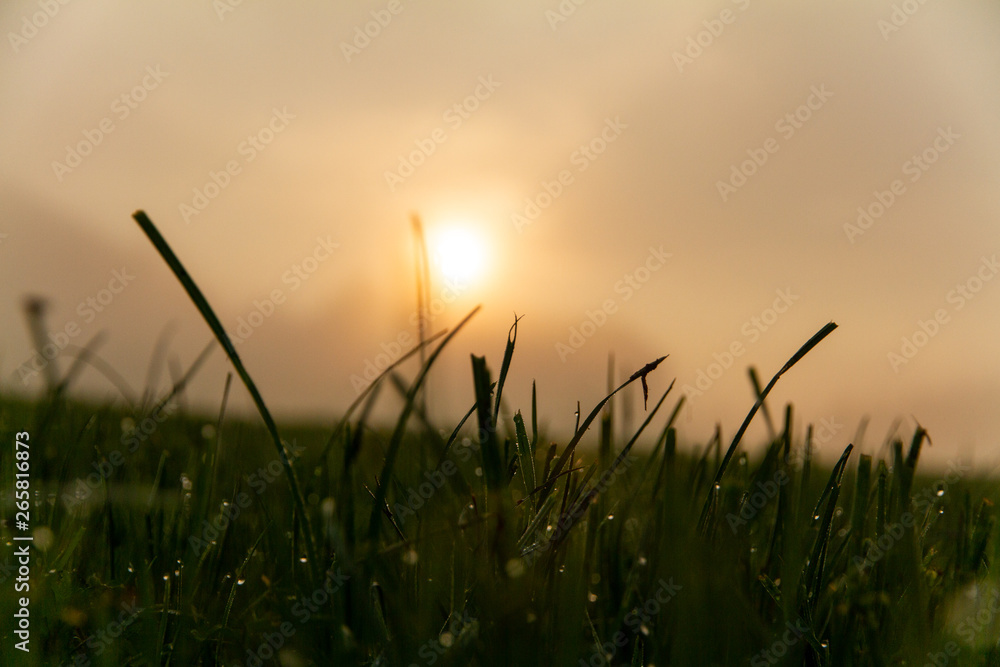 Sunrise in the field 