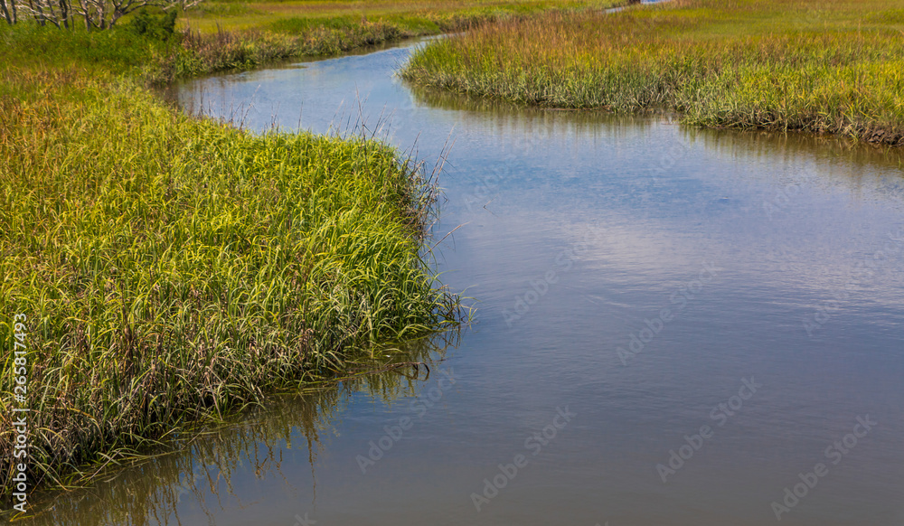 A river running through a salt water wetland marsh at high tide A river running through a salt water wetland marsh at high tide