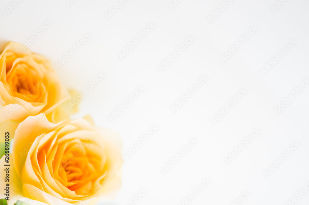 Fototapeta premium 清楚で可愛らしいバラの花束