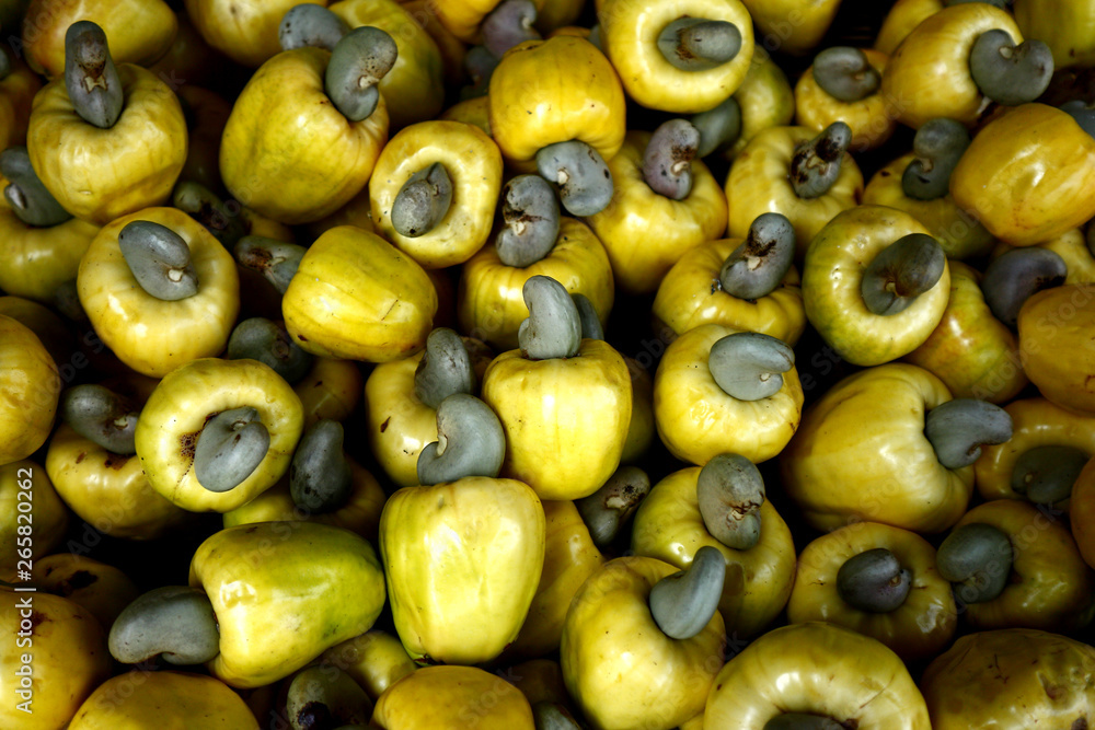 Fresh and ripe cashew fruit