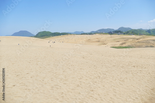 鳥取砂丘の風景