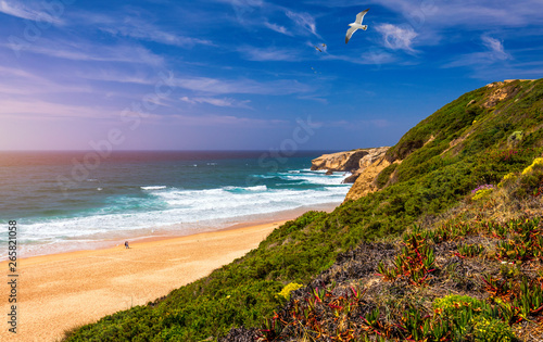 View of the Monte Clerigo beach with flying seagulls on the western coastline of Portugal, Algarve. Stairs to beach Praia Monte Clerigo near Aljezur, Costa Vicentina, Portugal, Europe.