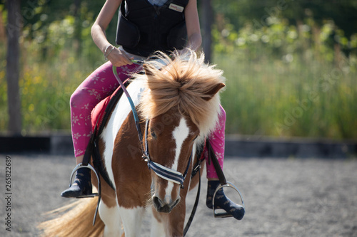 BAMBINA A CAVALLO photo