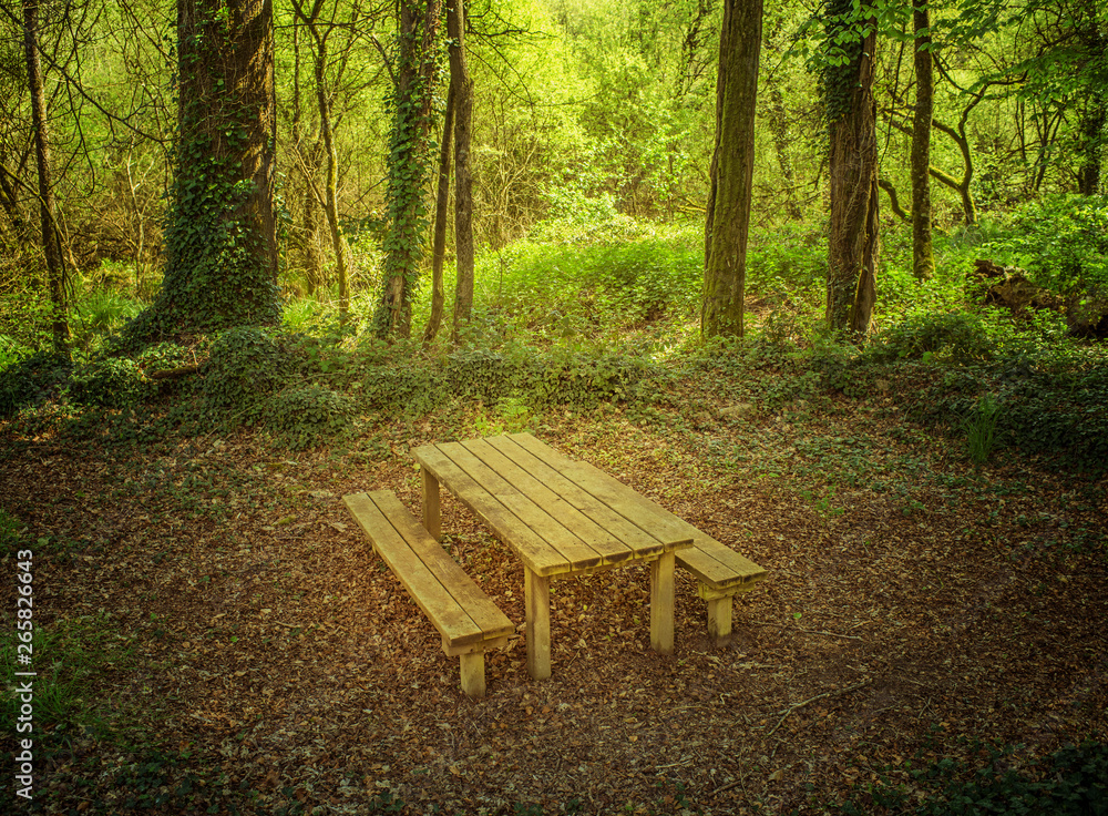 Misaya Picknick-Tischdecke Mit Bänken – Wasserdicht, Elastisch, 76,2 X 182,9 Cm