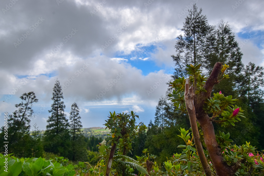 Fototapeta premium scenery at sao miguel 