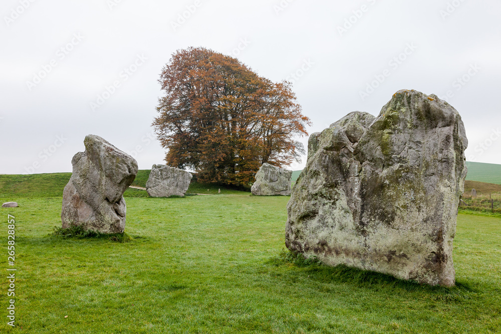 Details of stones and environs in the Prehistoric Avebury Stone Circle, Wiltshire, England, UK