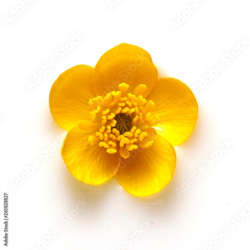 Cuadro en lienzo fiore