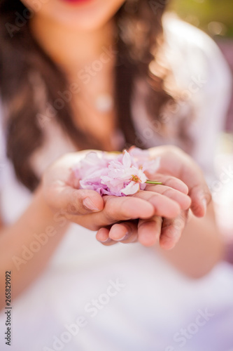 Close-up. Female hands hold petals of pink flowers. A young beautiful Asian woman in a white dress walks in a flowered park.