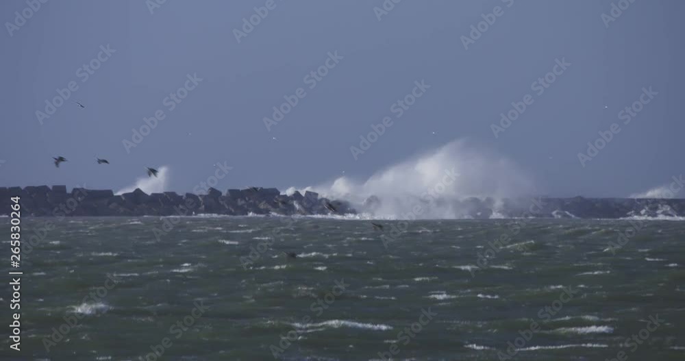 beautiful shot of breaking waves on breakwater, sea birds flying by during stormy weather at the north sea. beautiful shot of breaking waves on breakwater, sea birds flying by during stormy weather at the north sea.
