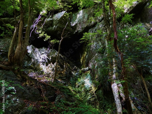 山中の洞窟 © haruzo