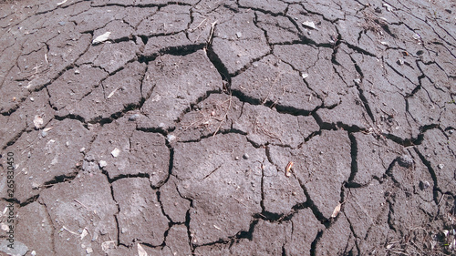 Background. The texture is a dried earth with large cracks. Pebbles and straws. The concept of ecological catastrophe, depletion of the earth, global warming.