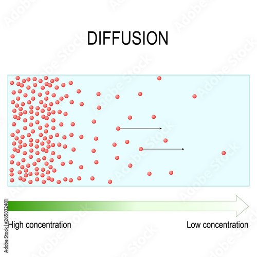 Diffusion is movement of molecules and atoms from a region of higher concentration to a region of lower concentration.
