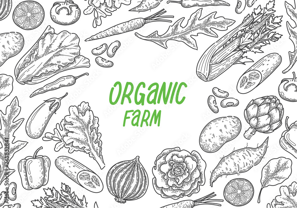 hand draw vegetable, vector hand draw vegetable, vector