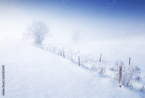 Eiskalt in blau