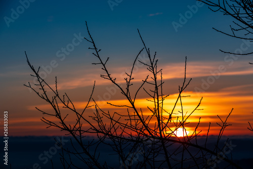 twilight landscape over the sunset background and silhouette tree branch foreground subject