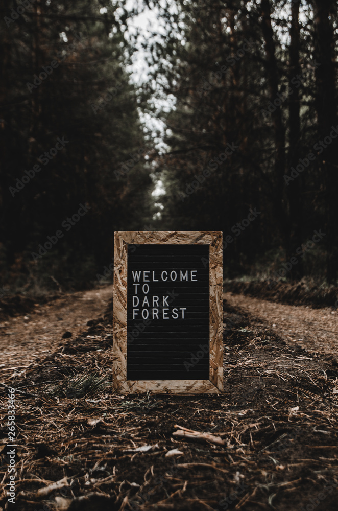 Letter board with white inscription welcome to dark forest.In forest on the road, travel and tourism.
