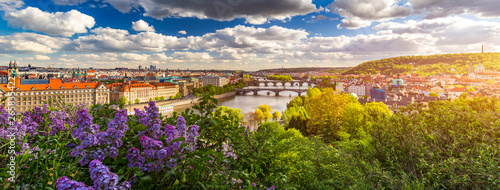 Photography Amazing spring cityscape, Vltava river and old city center with colorful lilac blooming in Letna park, Prague, Czechia