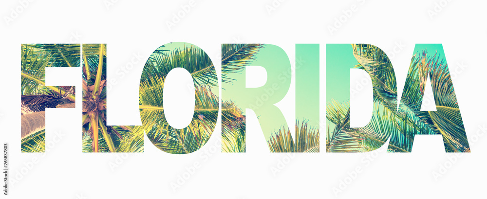 Word Florida with palm trees on white background - obrazy, fototapety, plakaty 