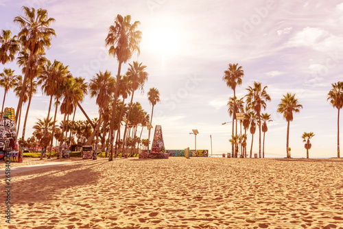 Venice beach in the morning with palm trees and endless sand shore. Los Angeles, California.