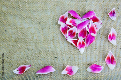Fototapeta Naklejka Na Ścianę i Meble -  Heart made of pink petals on gray background.