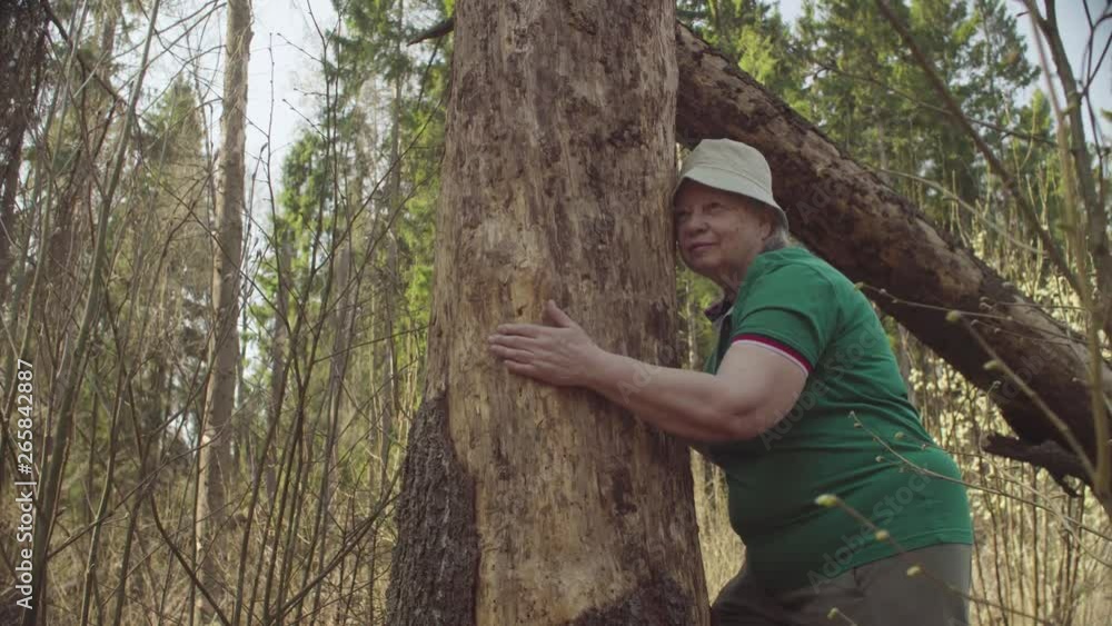Senior woman in the forest hugging a damaged tree. Nature friendly concept Senior woman in the forest hugging a damaged tree. Nature friendly concept