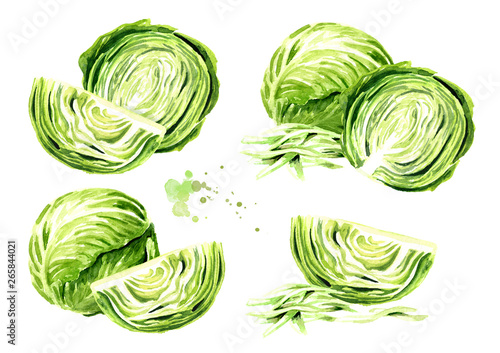 Fresh cabbage set. Watercolor hand drawn illustration isolated on white background