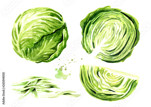 Whole and chopped cabbage. Watercolor hand drawn illustration isolated on white background