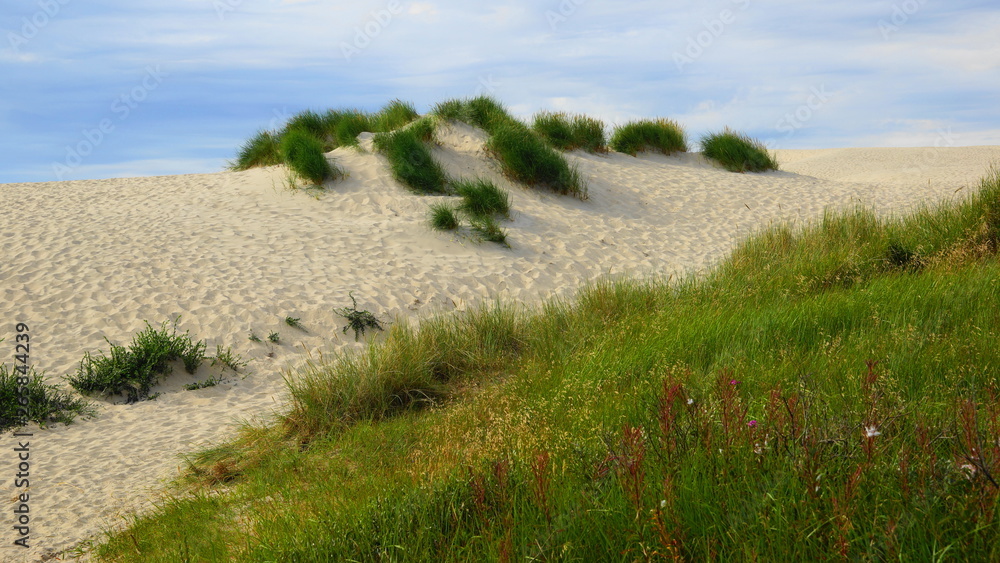 wanderdünen auf skaken,dänemark wanderdünen auf skaken,dänemark